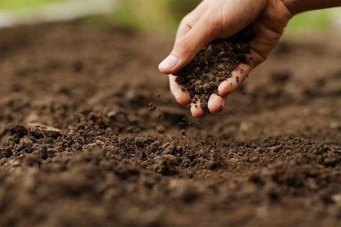 Subsoil test